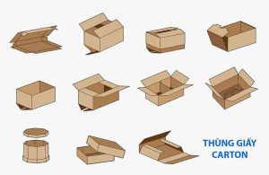 Có rất nhiều loại thùng bìa carton trên thị trường hiện nay