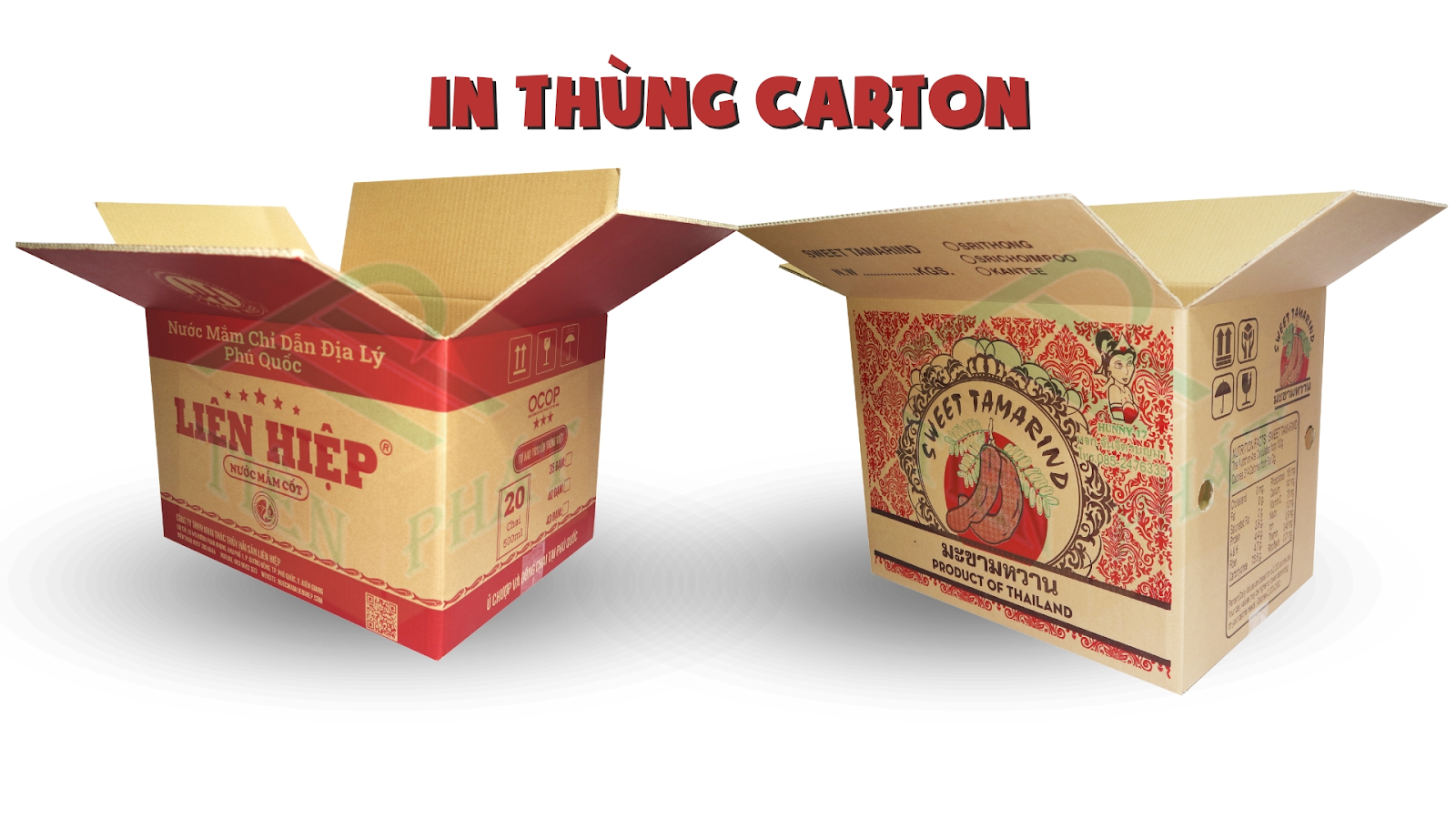 Có rất nhiều công nghệ in bao bì giấy thùng carton phổ biến hiện nay