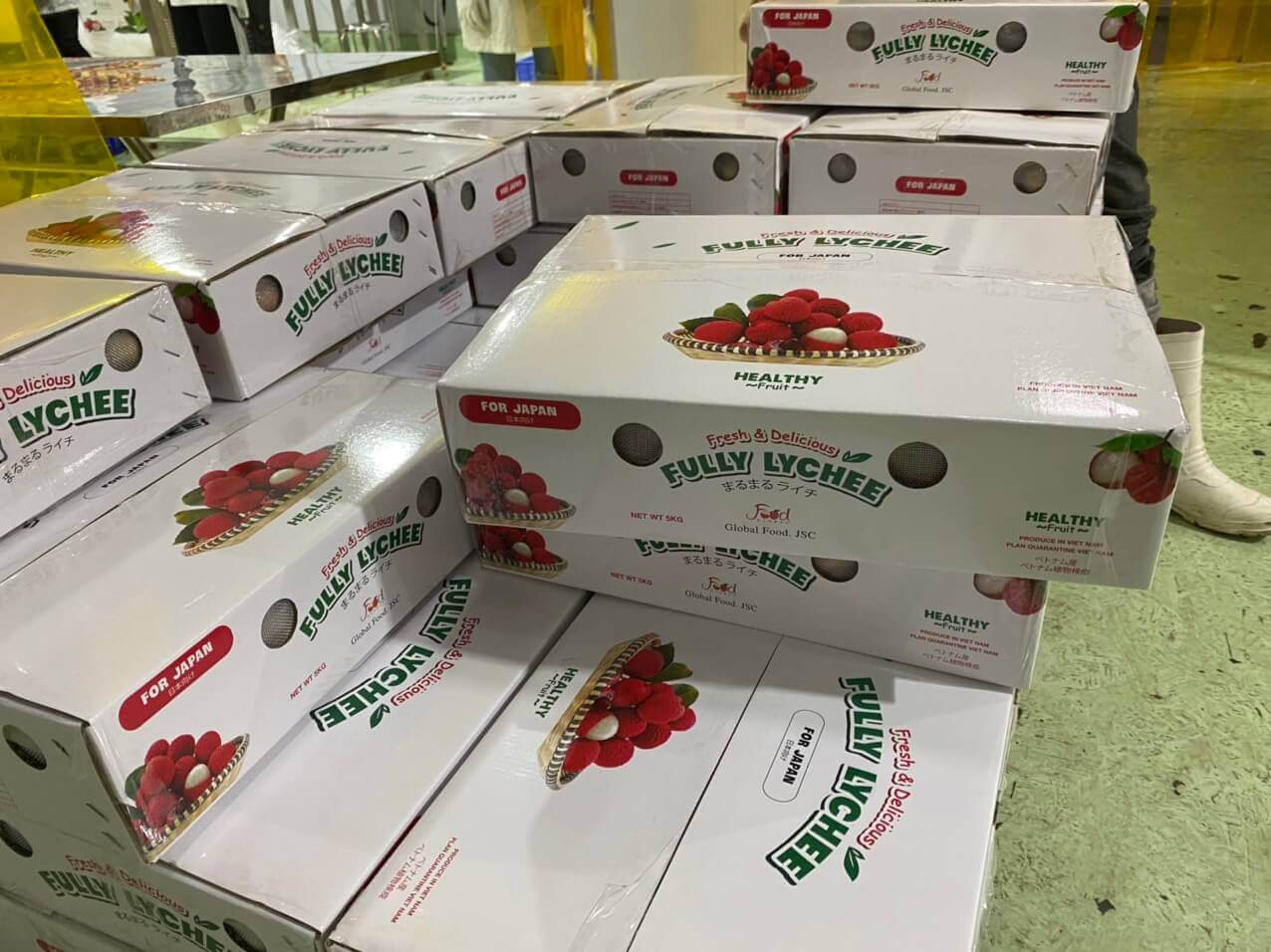 Thùng carton đựng vải thiều phục vụ xuất khẩu