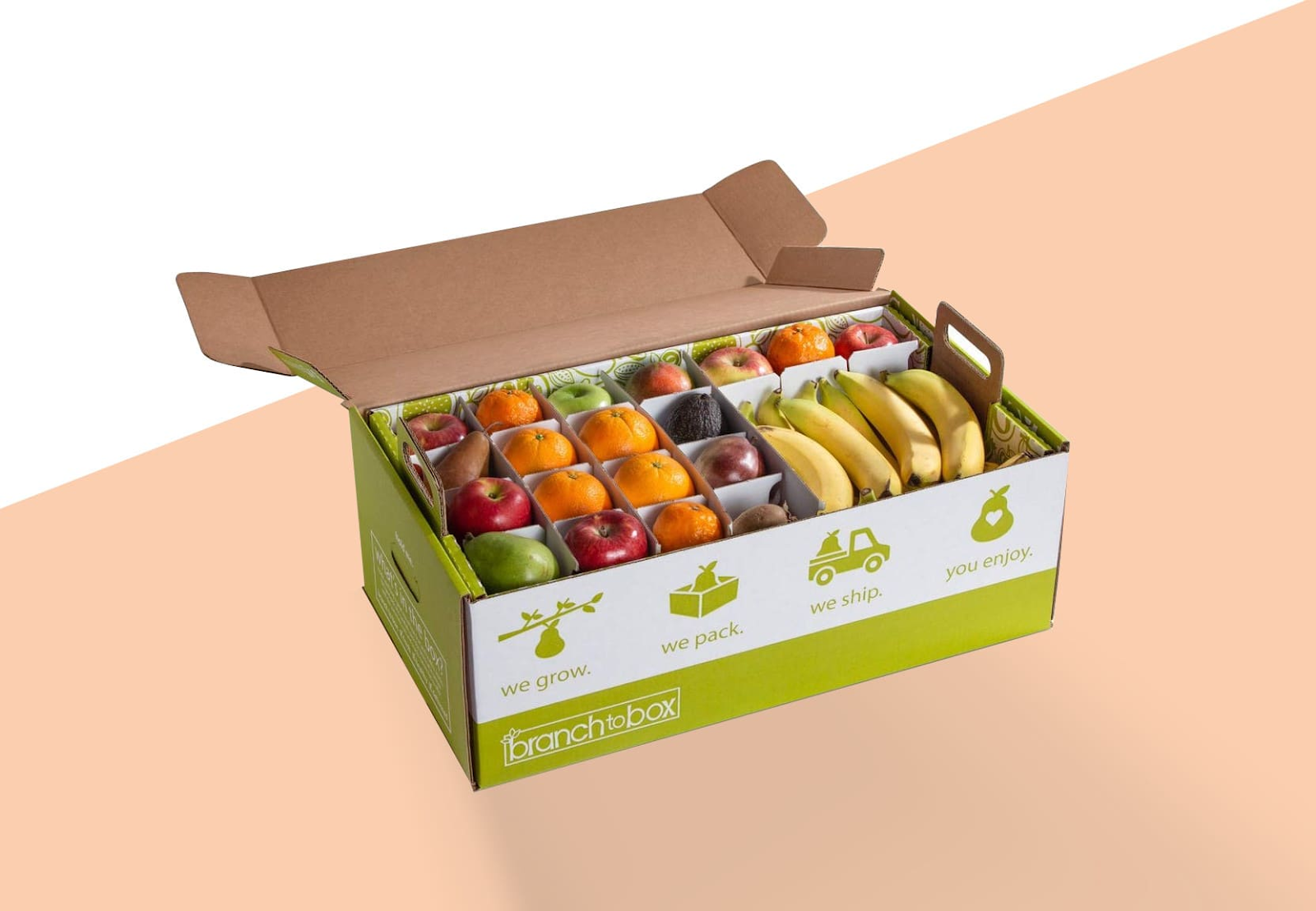 Mẫu thùng carton cho bao bì thực phẩm trái cây có thiết kế ấn tượng